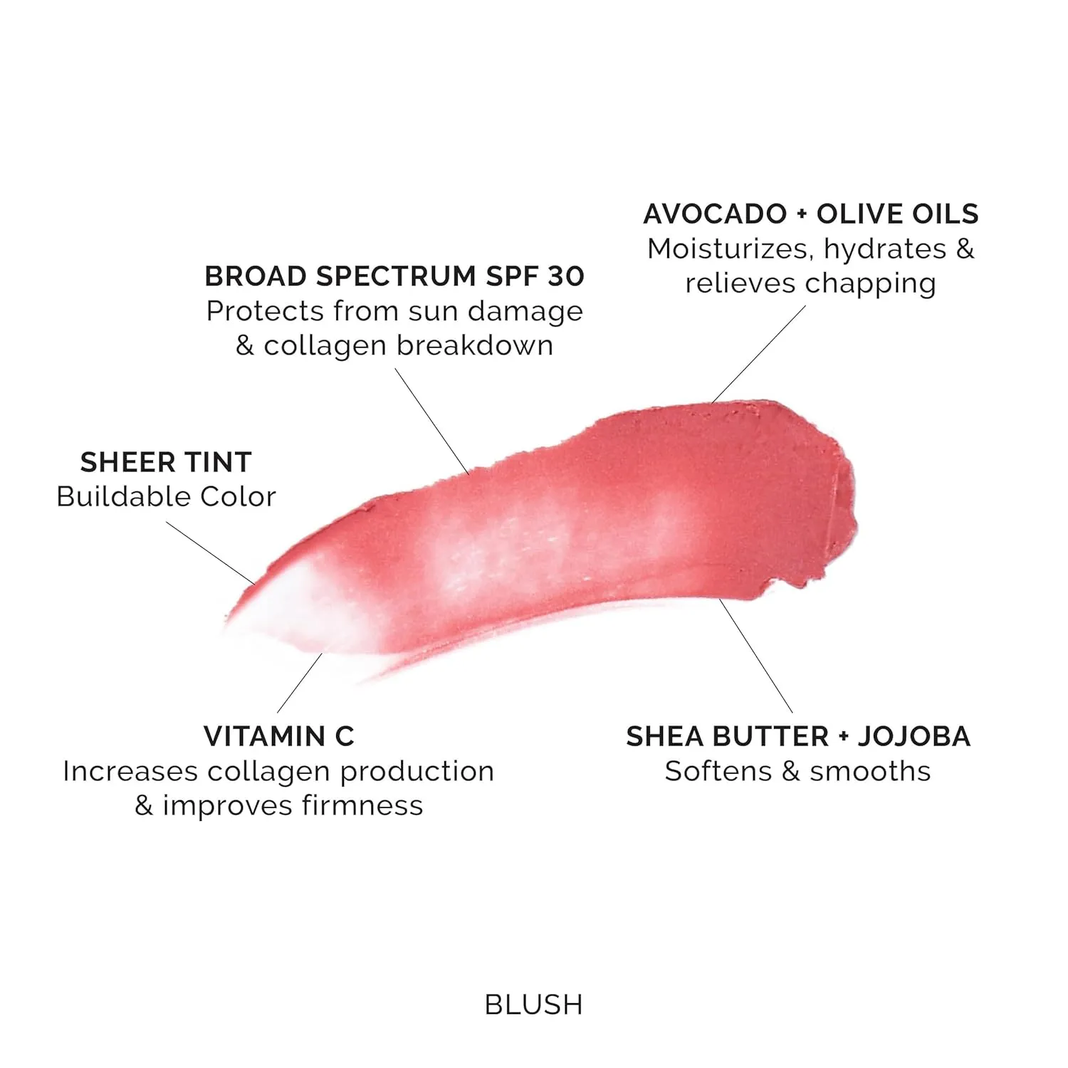 MDSolarSciences Tinted Lip Balm SPF 30, Sheer Hydrating Lip Sunscreen –Vegan, Gluten Free Lip with Naturally Moisturizing Shea Butter and Avocado Oil