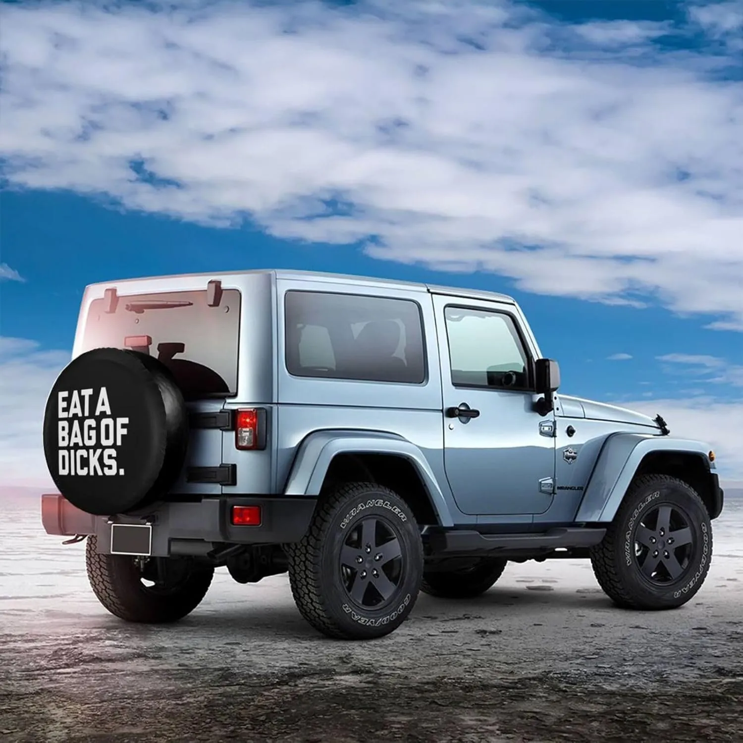 Spare Tire Cover Eat A Bag of Dicks SUV Rv Tire Cover Dust-Proof for Camper Trailer Truck Travel Trailer Universal Accessories 15 Inch